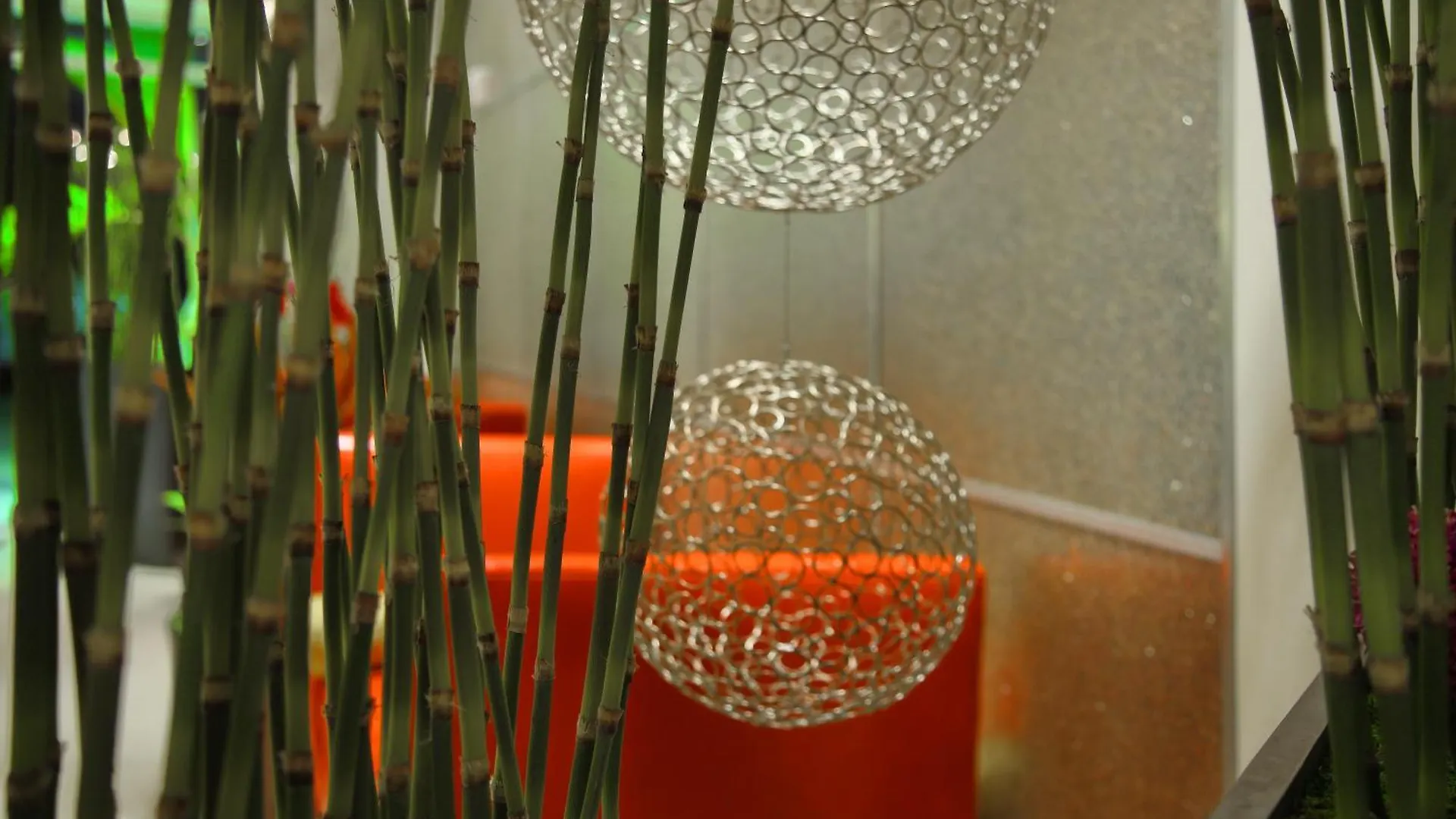 Holiday Inn - Sarasota Bradenton Airport, an IHG Hotel